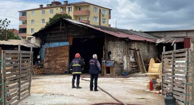 Alevlerden kaçarken yola fırlayan kedinin imdadına yetişti