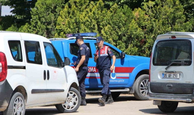 Amasya'da büyükbaş hayvana vahşet: 5 gözaltı