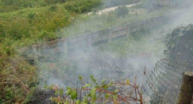 Anız yangını korkuttu