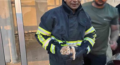 Aracın motor kısmına sıkışan kedi kurtarıldı