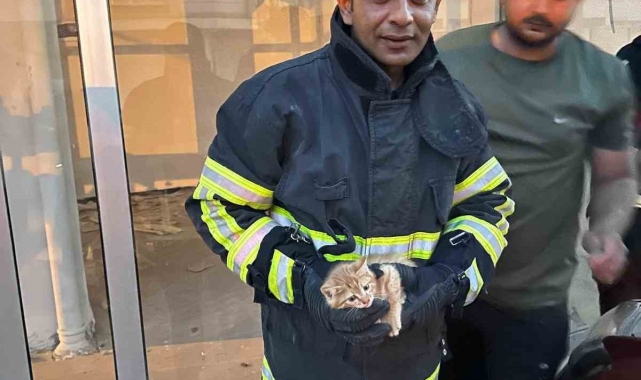 Aracın motor kısmına sıkışan kedi kurtarıldı