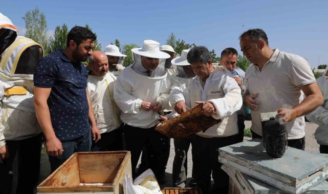 Arı yetiştiricilerine uygulamalı eğitim