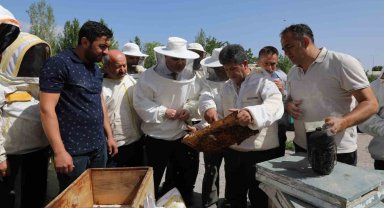 Arı yetiştiricilerine uygulamalı eğitim