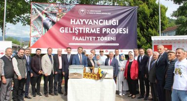 Arıcılar ana arıya ve arı kolonisine kavuştu