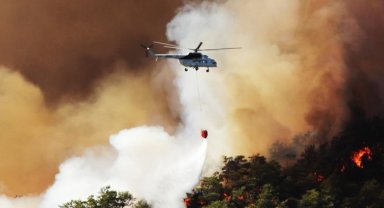 Aydın'da ormanlık alanlara izinsiz girilemeyecek