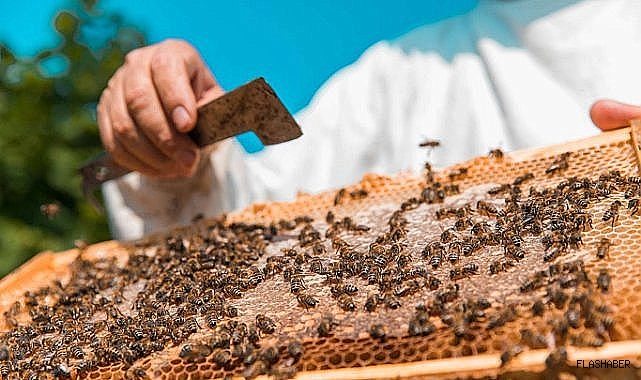 BAKAN YUMAKLI’DAN  ARICILARA MÜJDE!