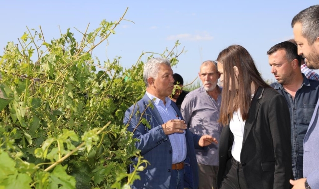 Başkan Durbay dolunun zarar verdiği alanları inceledi