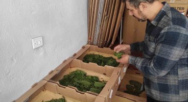 Batman'da unutulmaya yüz tutan mesleklerden ipek böcekçiliği yeniden canlandırılıyor