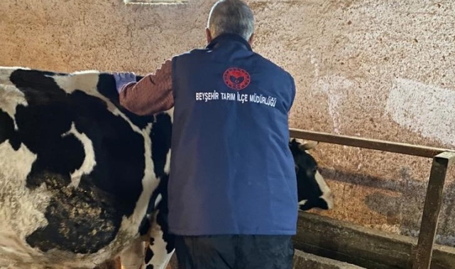 Beyşehir'de şap aşısı kampanyası sürüyor