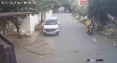 Bilye atan havalı tabancayla köpeğe ateş açtı