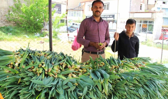 Binboğa Dağından çiriş toplayıp satıyor