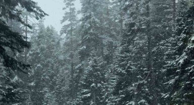 Bolu'da mayıs ayının ortasında kar yağdı