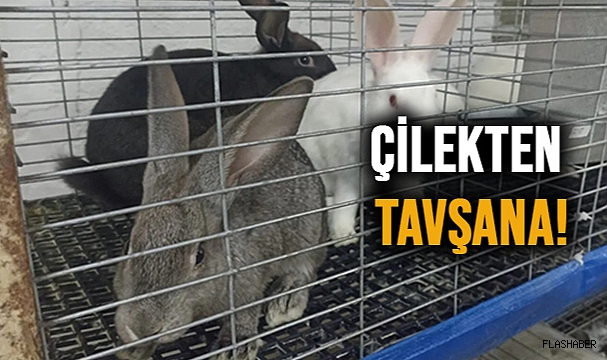BOYABATLI ÜRETİCİDEN TARIMDA YENİLİKÇİ ADIM!