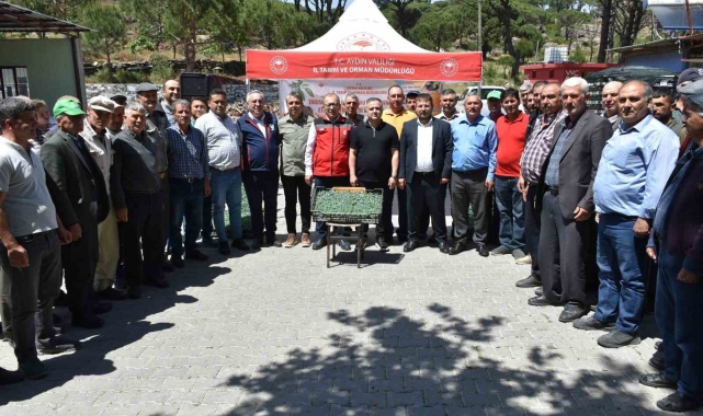 Bozdoğan domates üretim üssü olacak