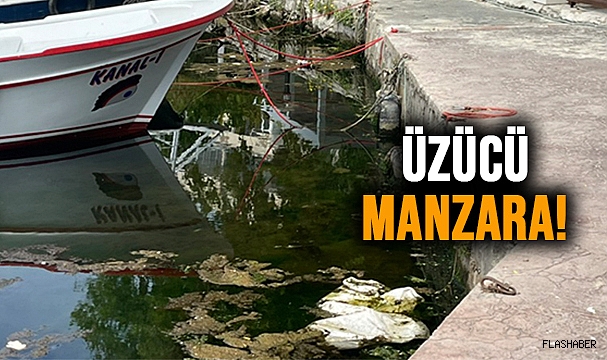 BU MANZARA SİNOP’A YAKIŞMIYOR!