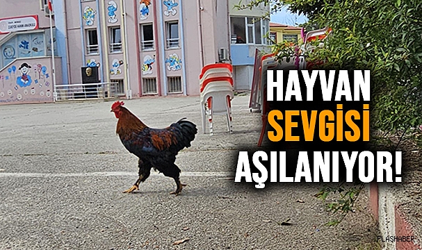 BU OKUL DİĞERLERİNDEN ÇOK FARKLI!