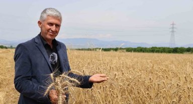 Buğday rekoltesi yüz güldürdü