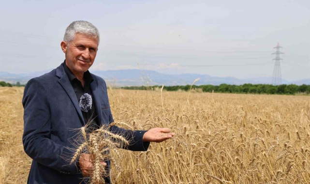 Buğday rekoltesi yüz güldürdü