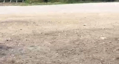 Bursa'da dolu yağışı üreticileri korkuttu