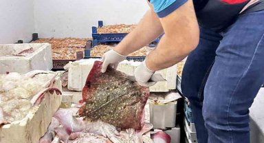 Bursa'da kaçak avcılara geçit yok