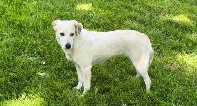 Bursa'da sanat ve medya camiasının acı kaybı