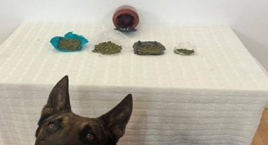 Çantadan çıkan kavanozda esrar yakanladı