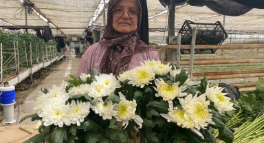 Çiçek üreticileri Anneler Günü'ne hazırlanıyor