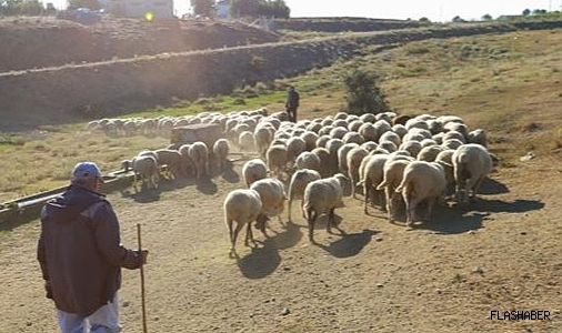 ÇİFTÇİLERE 445 MİLYON LİRALIK TARIMSAL DESTEK ÖDEMESİ YAPILDI!