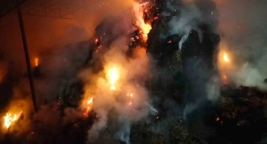 Çiftlikte çıkan yangında yaklaşık 100 ton saman küle döndü