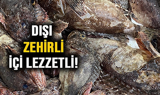 ÇİRKİN KRAL TEZGAHLARDA YERİNİ ALDI!