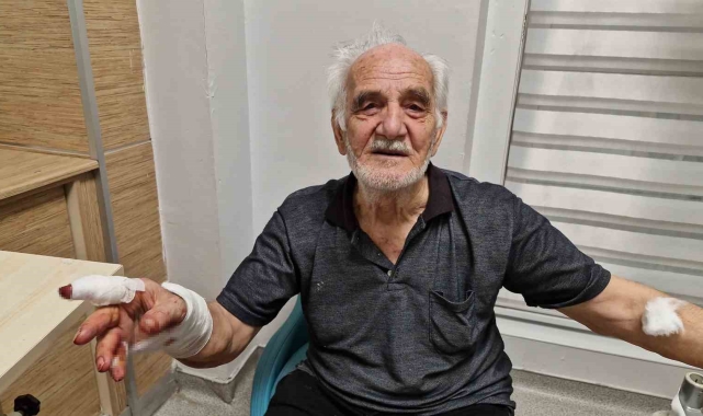 Çoban köpeği duvardan atlayıp yaşlı adamın elini parçaladı