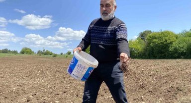 Denemek için karabuğday ektiler, çölyak hastalarından gelen taleplere yetişemez hale geldiler