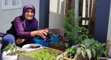 Depremde evi yıkılan 76 yaşındaki Eşe teyze, konteynerin önüne bahçe yaptı