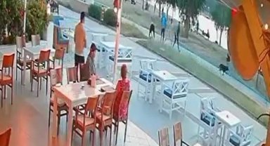 Didim'de sokak köpeği çocuğa saldırdı