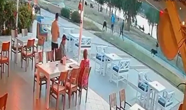 Didim'de sokak köpeği çocuğa saldırdı