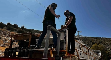 Didim'den Tunus'a 1 milyon çipura yavrusu
