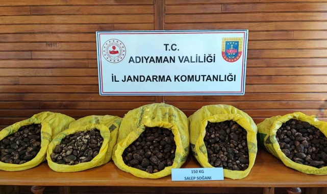 Doğadan toplanması yasak olan salep soğanını izinsiz toplayan 5 şahıs suçüstü yakalandı