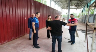 Düzce'de kurbanlık satış ve kesim yerleri denetleniyor