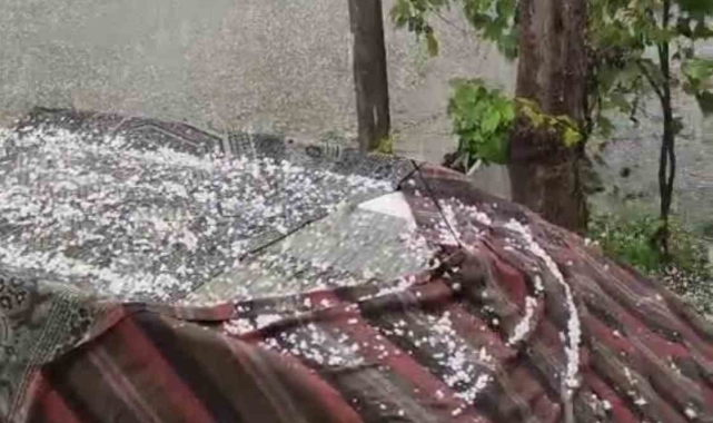 Düzce'de dolu etkili oldu, tarım arazileri zarar gördü