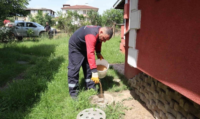 Düzce'de haşere ile mücadele sürüyor