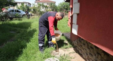 Düzce'de haşere ile mücadele sürüyor