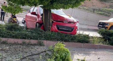 Elazığ'da otomobil ağaca çarptı: 3 yaralı