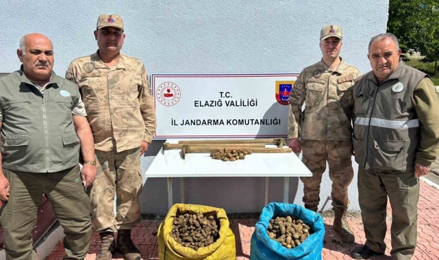 Elazığ'da salep bitkisi toplayan 4 kişiye idari para cezası uygulandı