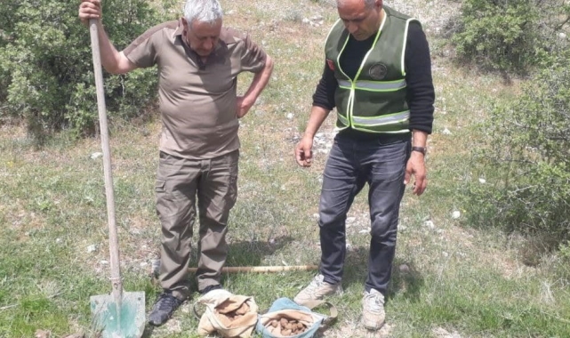Elazığ'da salep soğanı toplayan 8 kişiye 3 milyon 100 bin lira ceza