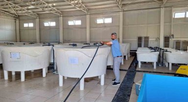 Elazığ'da Su Ürünleri Ar-Ge Merkezi'nde üretim çalışmaları sürüyor