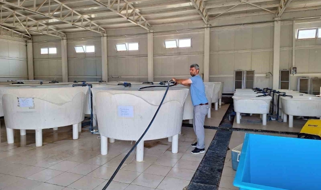 Elazığ'da Su Ürünleri Ar-Ge Merkezi'nde üretim çalışmaları sürüyor