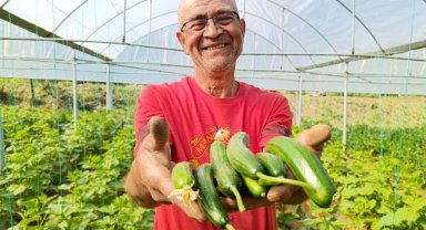 Emekli oldu kendi imkanlarıyla sera kurdu, üretime başladı ama çalıştıracak eleman bulamıyor