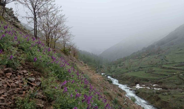 Erzurum'da mayıs ayında kar sürprizi