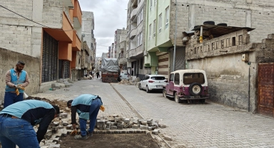 Eyyübiye'de 7 mahallede eş zamanlı çalışma