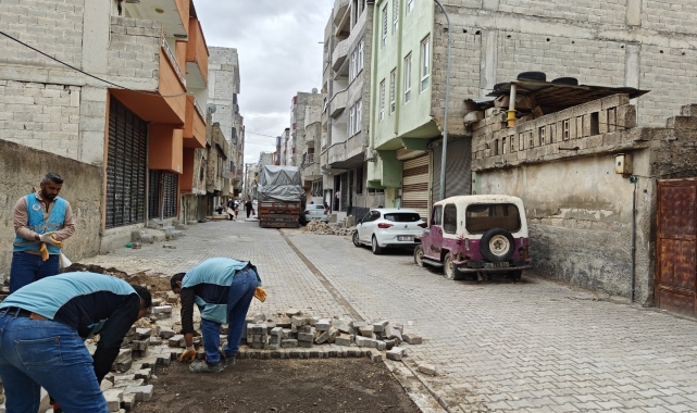 Eyyübiye'de 7 mahallede eş zamanlı çalışma